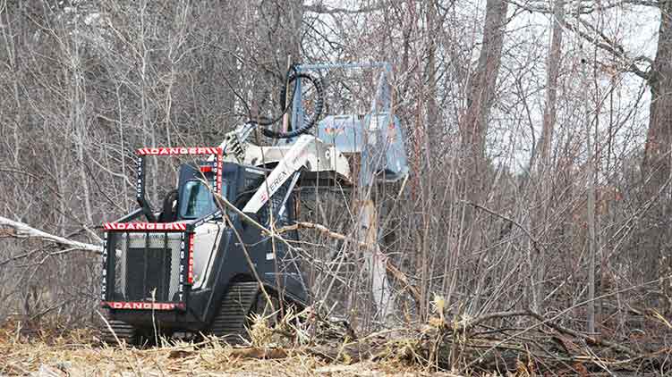 500 series MS548 mulching down trees