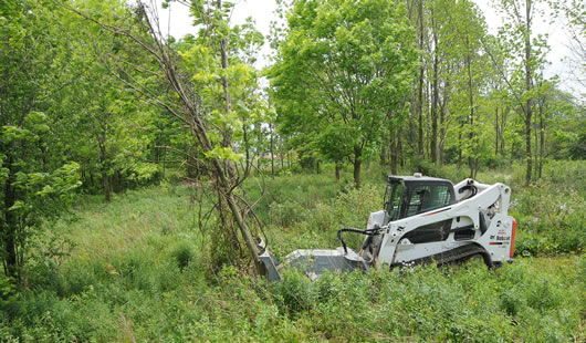 Baumalight skid steer mounted brush mulcher cutting down tree