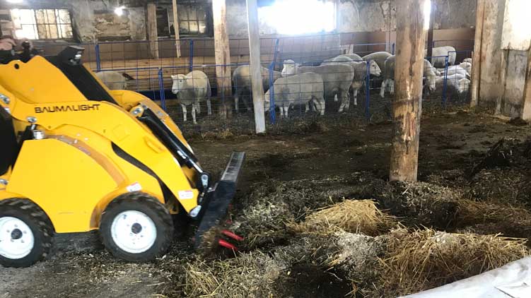 Stable cleaning manure fork on WRL58G