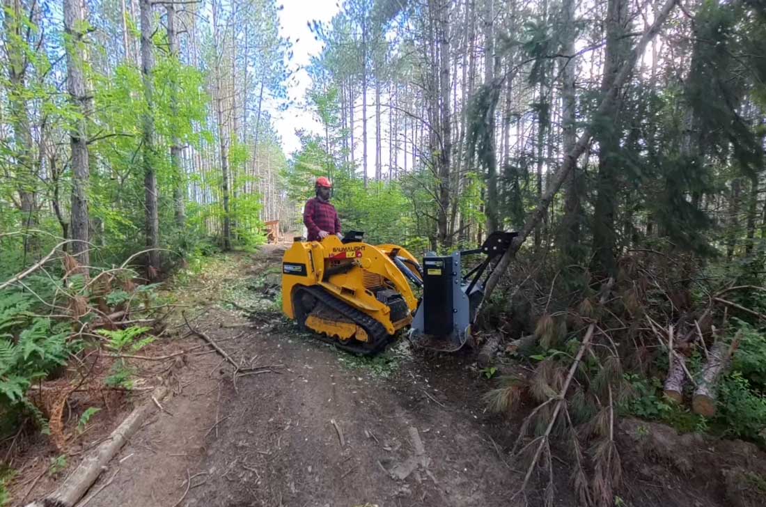 baumalight ms530m brush mulcher clearing trees