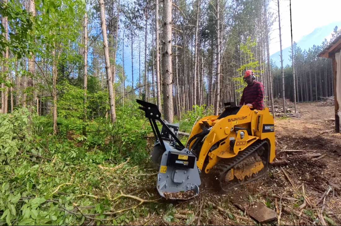ms530m brush mulcher clearing dense vegetation