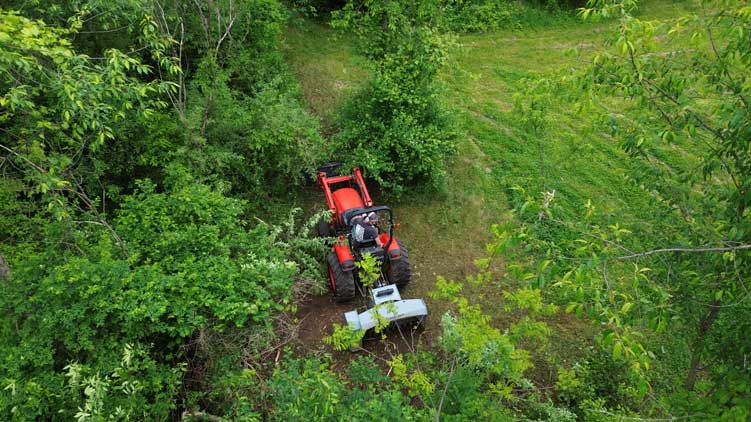 field clearing action with mp348 mulcher