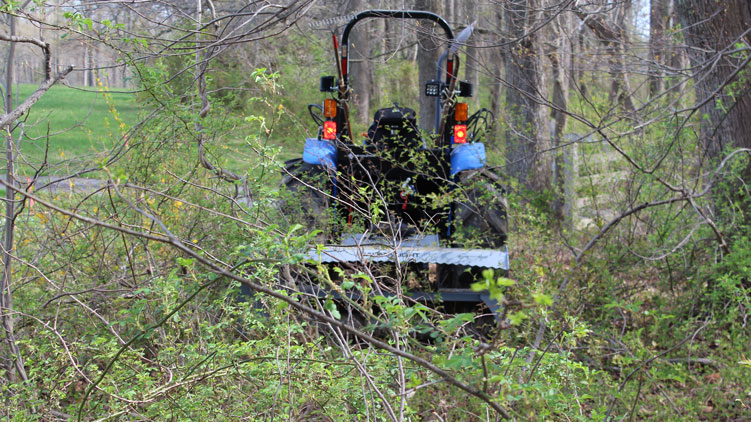 MP360 brush mulcher before clearing brushes