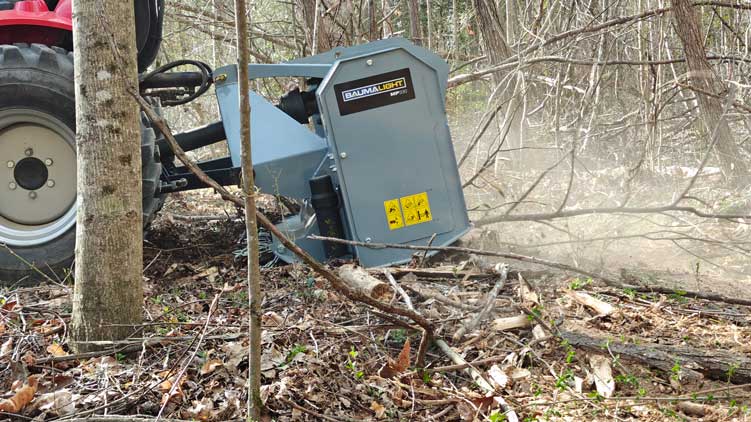 Brush mulcher clearing whole bush