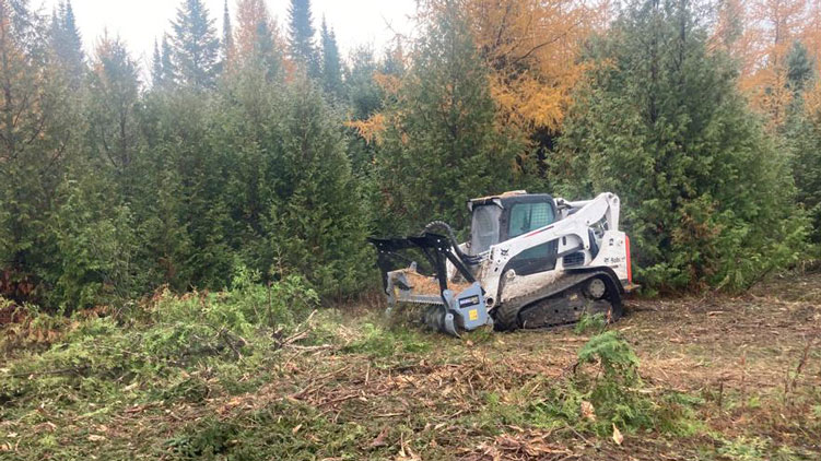 Baumalight MS960 brush mulcher in action