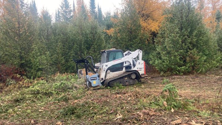 Baumalight MS960 mulching thick bushes