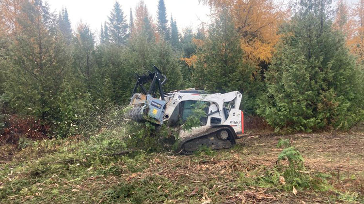 Baumalight MS960 on bob cat skidsteer