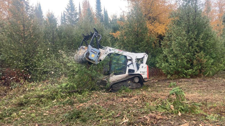 Baumalight heavy duty mulcher for skidsteer