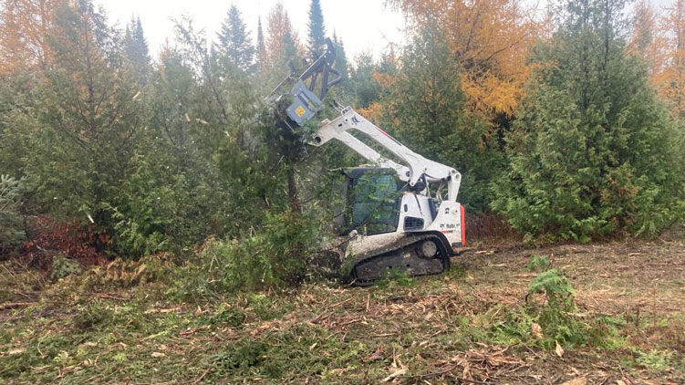 Bobcat skidsteer with Baumalight MS960 mulcher