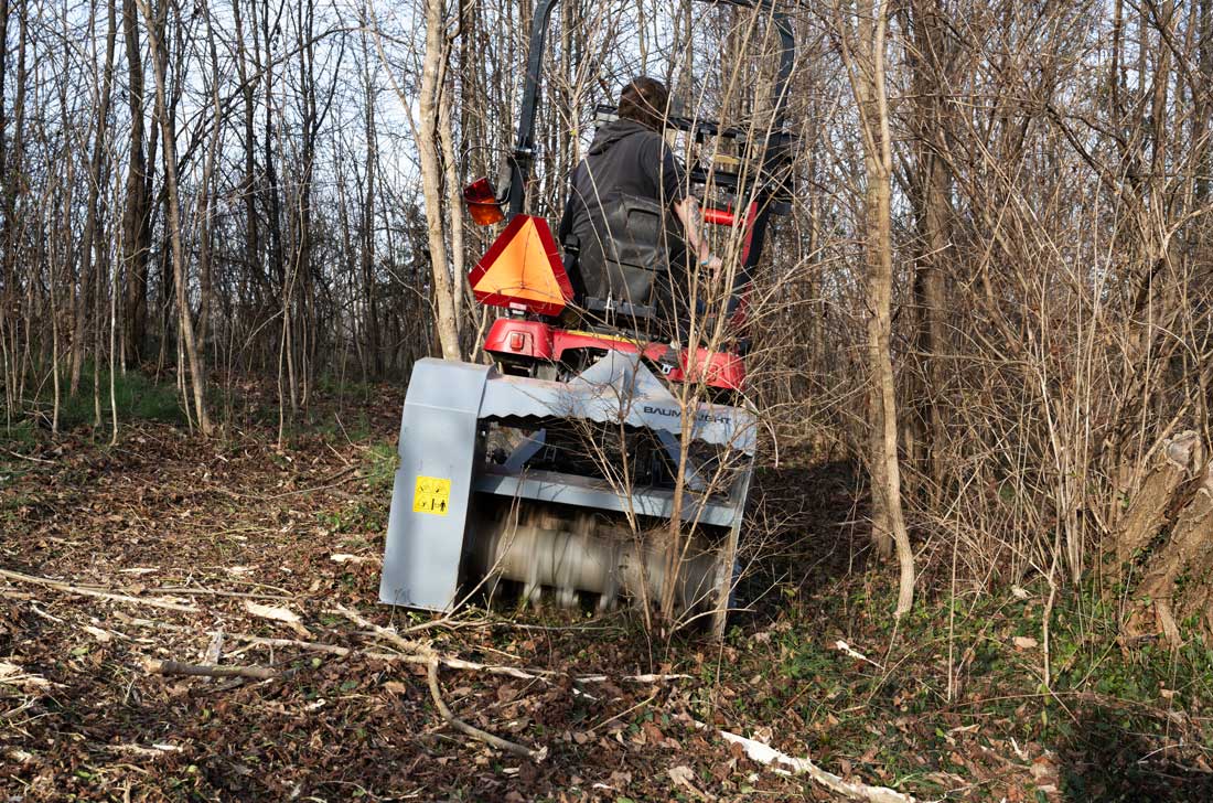 mulcher handling light brush and saplings
