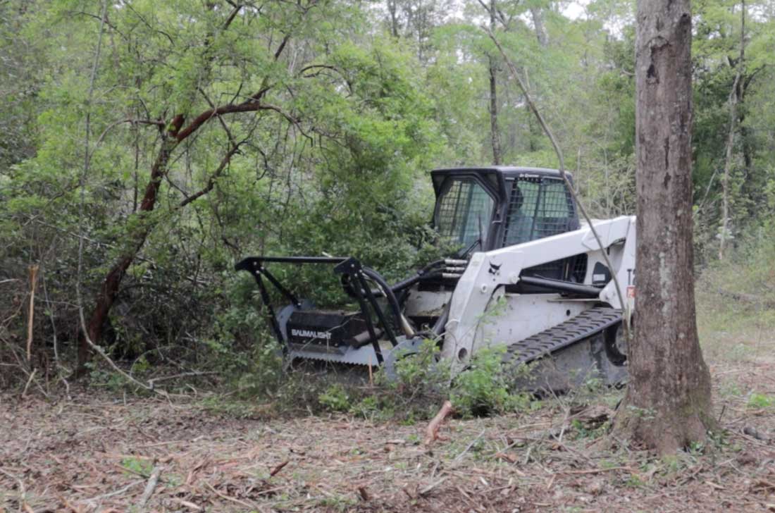 MS548 brush mulcher clearing heavy brush