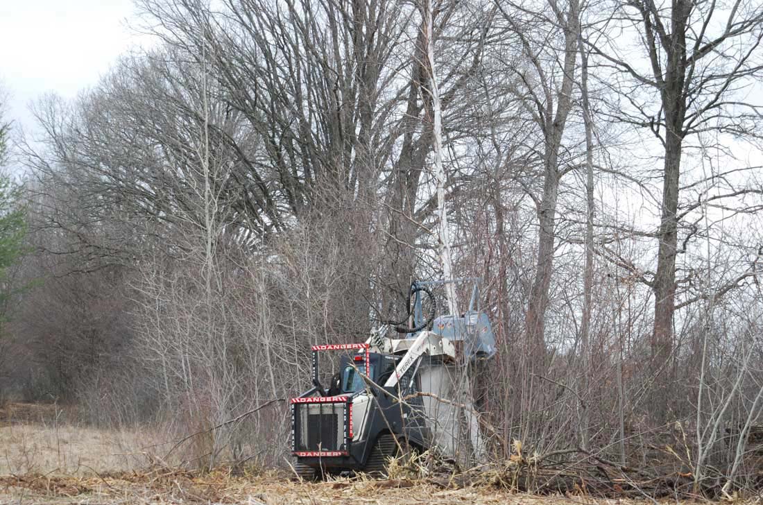 Top down mulching with a tracked skid steer