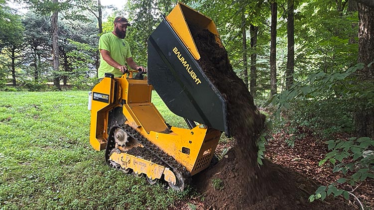 dt515rh compact dumper earthmoving equipment