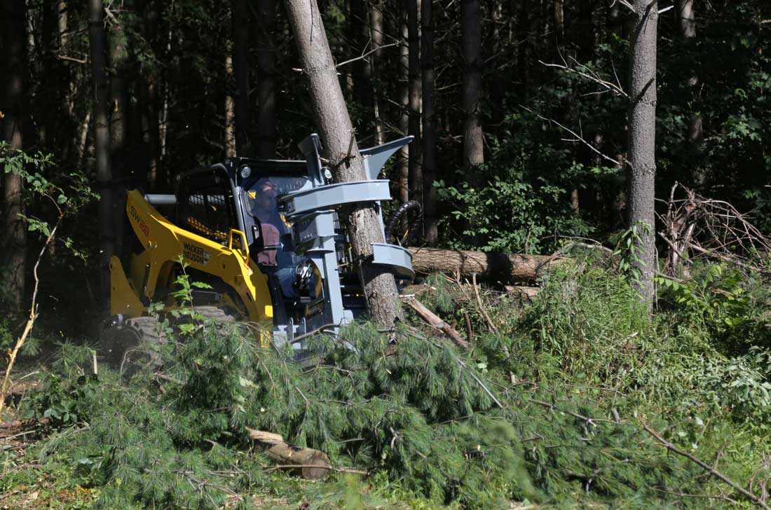 Skidsteer mounted Feller Buncher