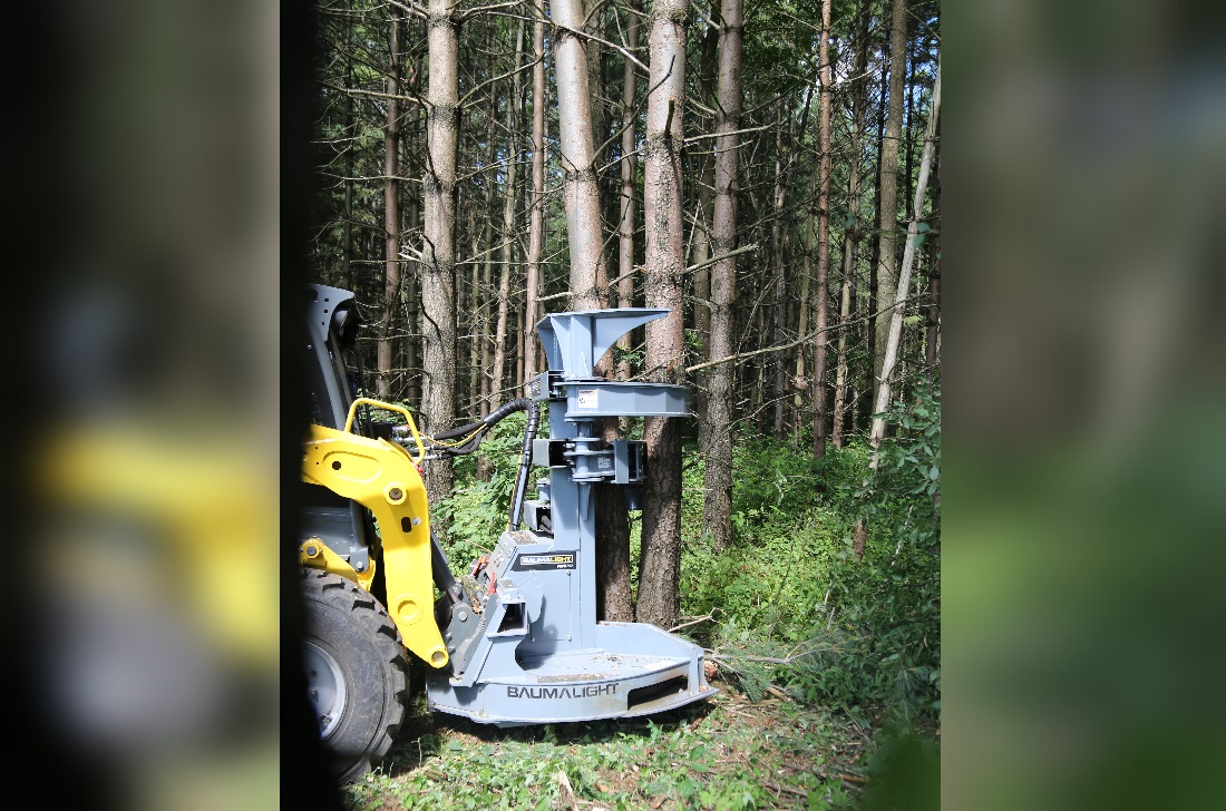 Tree Saw with Accumulator Arm