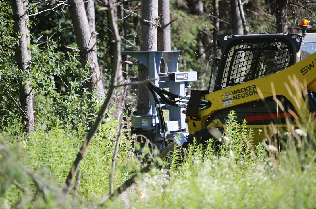 Tree saw with grabers on Wacker Neuson skid steer