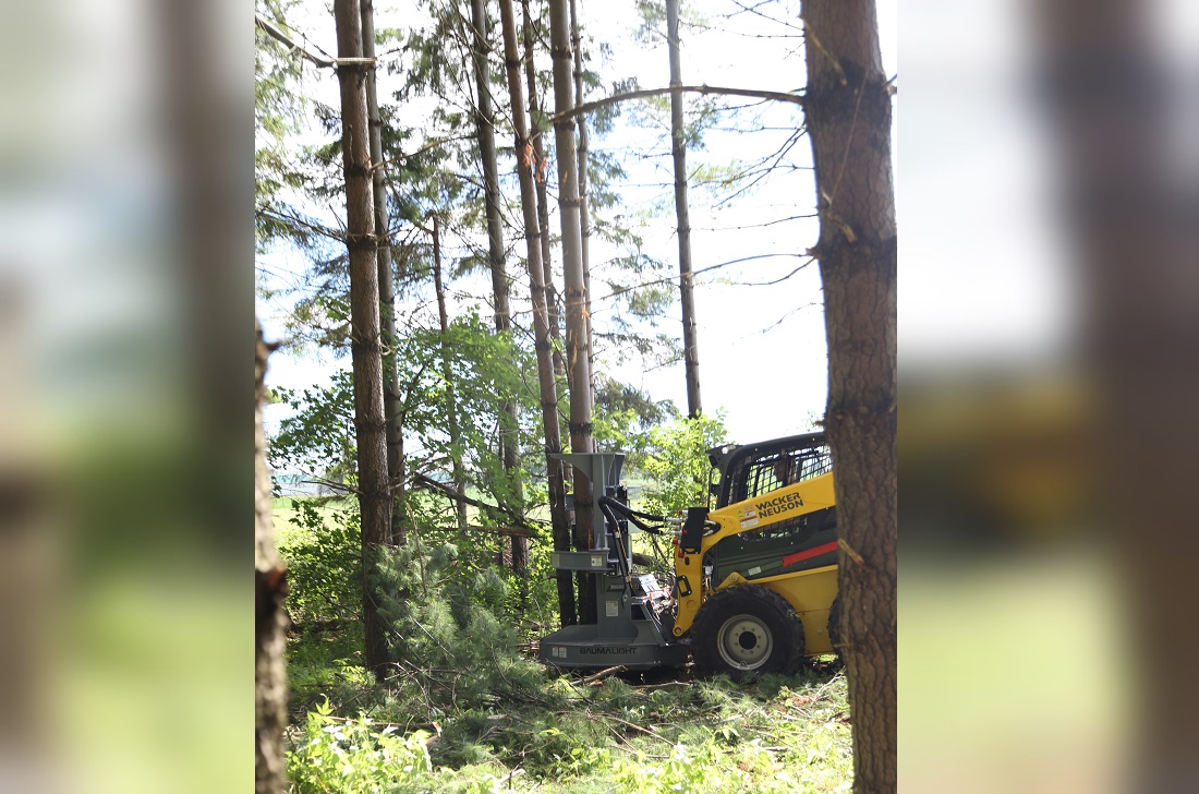 drive to tree felling head