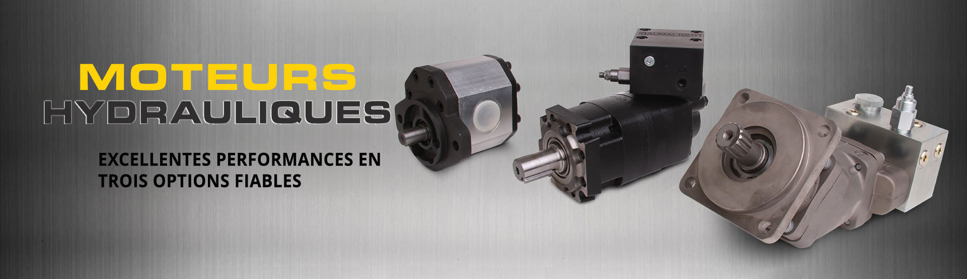 Options du moteur BaumaLight