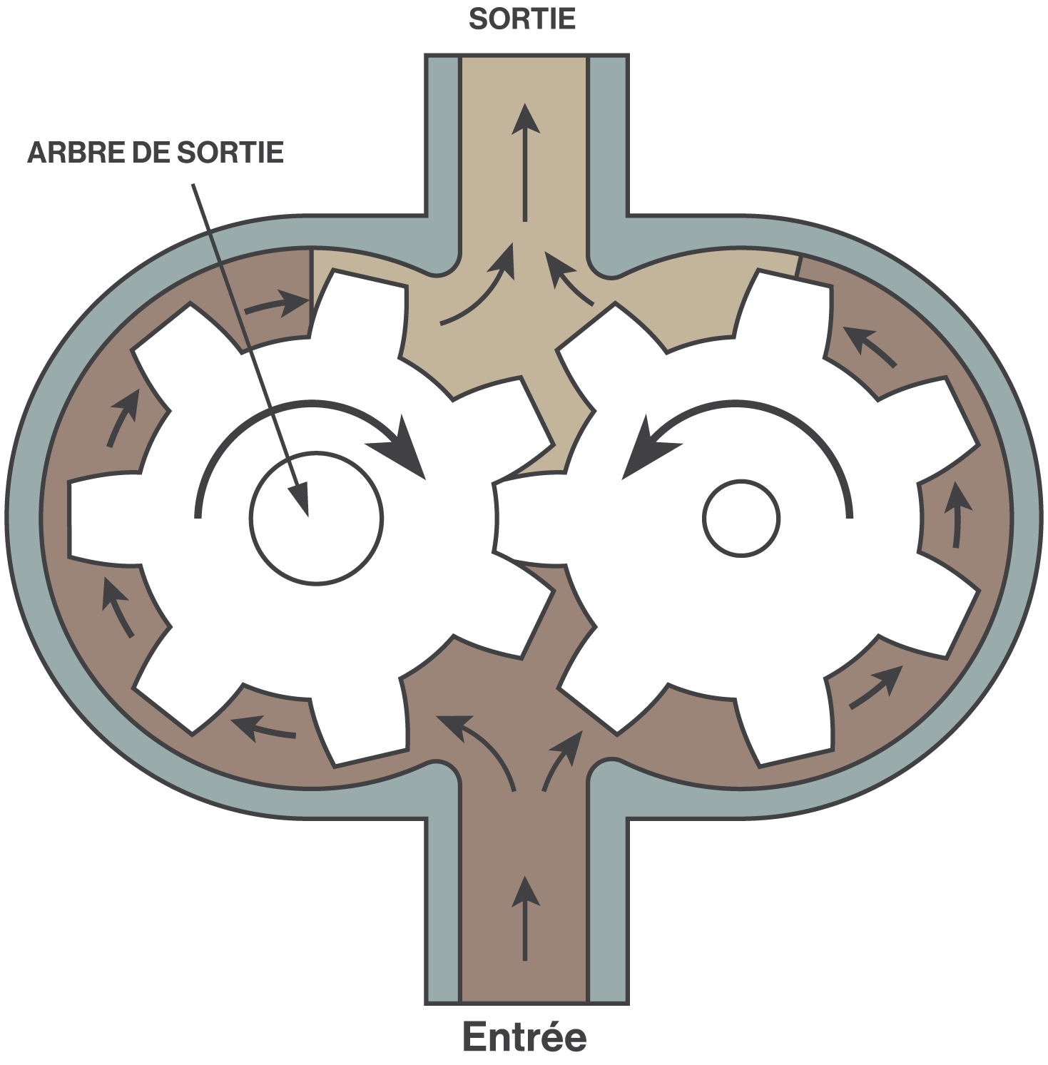 Illustration d'un moteur à engrenages