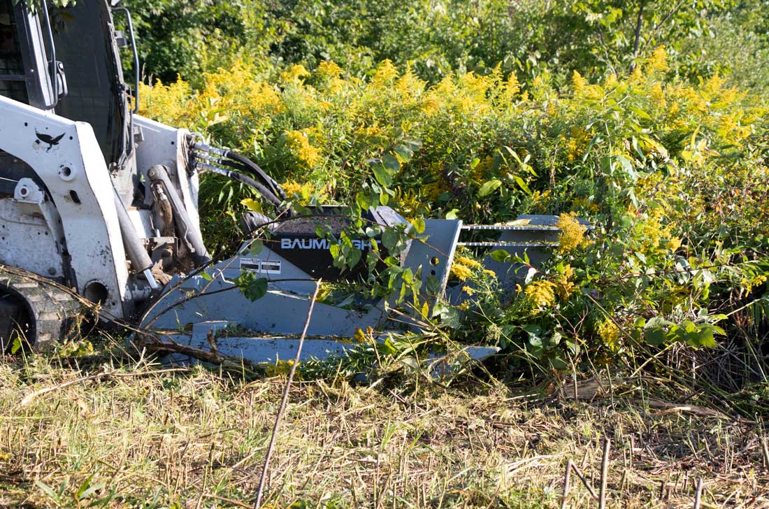 Baumalight CF772 brush cutter in action