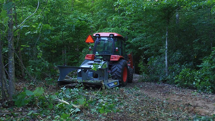 cutter moving down tree