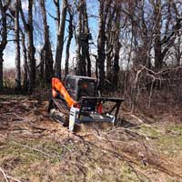 ms960 clearing thick brush and trees
