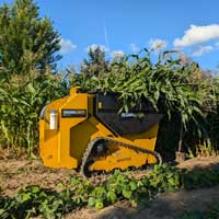 baumalight dt515rh in clearing debris action