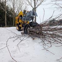 log grapple mini skidsteer forestry handling