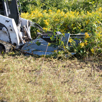 Baumalight CF772 clearing heavy brush