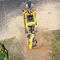 s16 mini skidsteer side swing