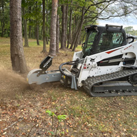 s28 baumalight grinding large tree stump