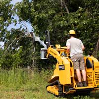 baumalight hsm513 tree saw mount angle