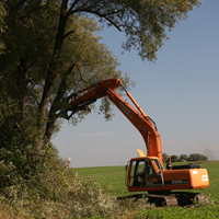 Baumalight tree shears in action thumbnail