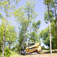 move sheared trees limbs using ish715g