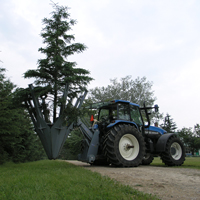 pt650 tree spade in action