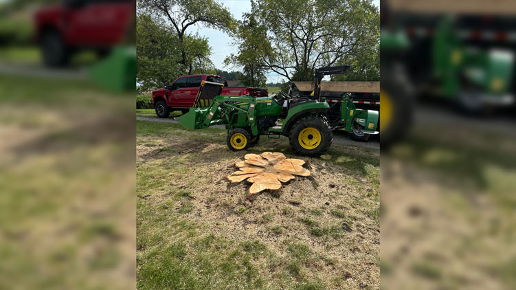 1p24 stump grinder before action