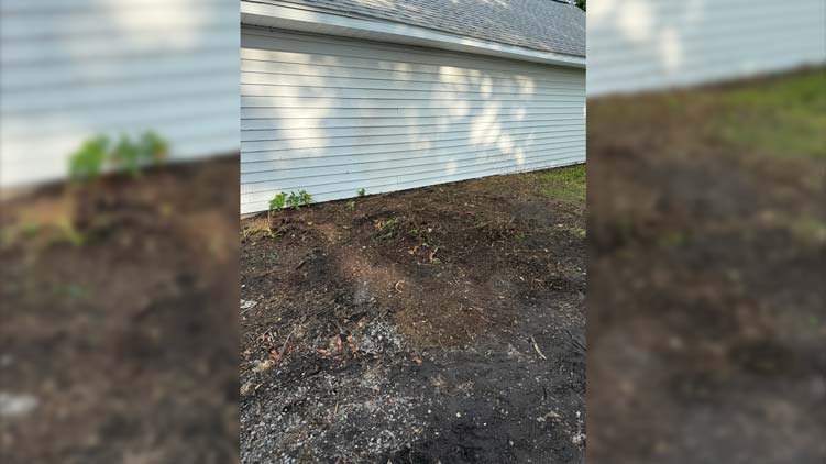 1p34 stump grinder after action