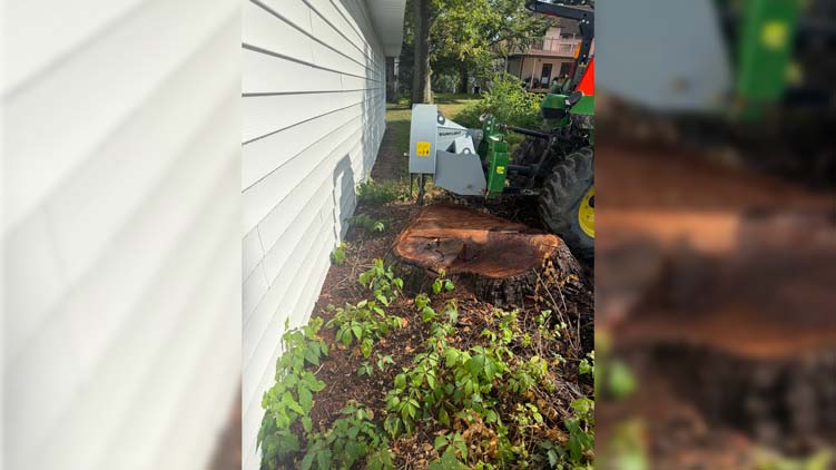 1p34 stump grinder before action