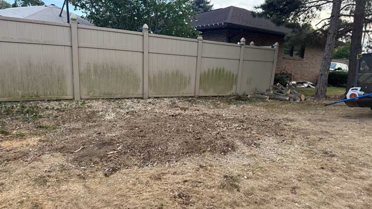 1p34 stump grinder after action