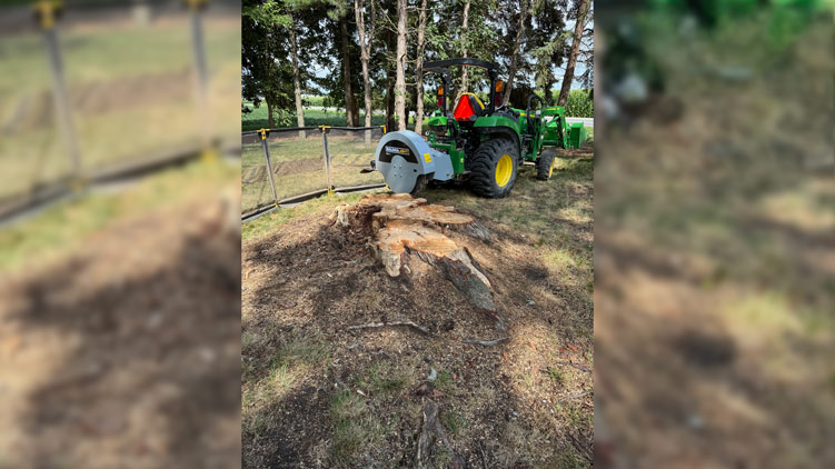 1p34 stump grinder before action