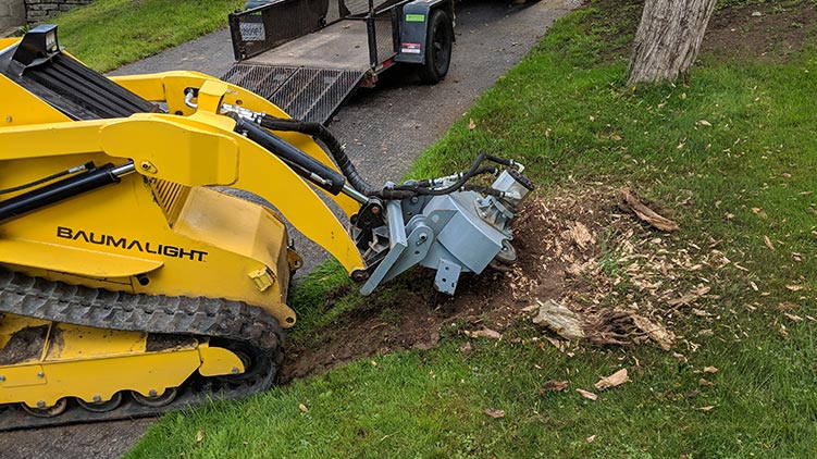 Baumalight s14 stump grinder on mini skidsteer