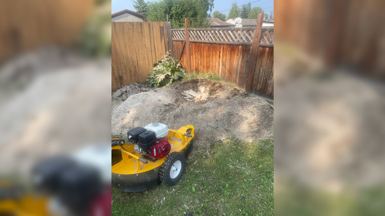 WB44 portable walk behind stump grinder