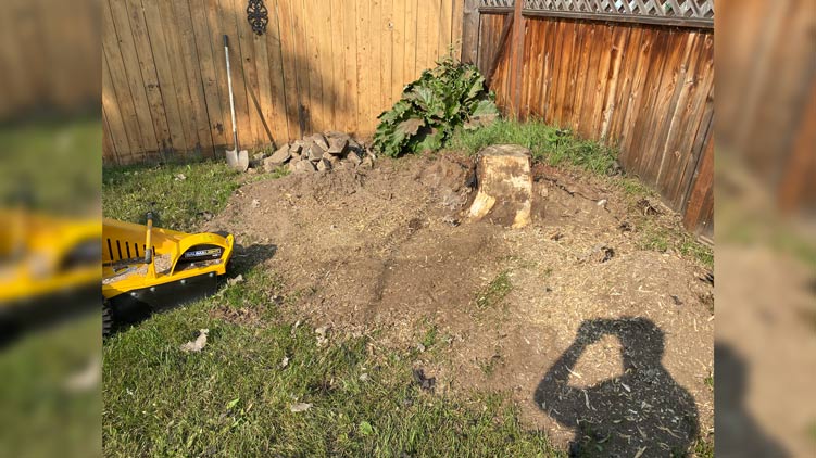 WB44 stump grinder in action at Alaska