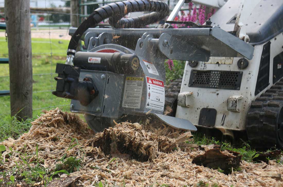 green teeth stump grinder, stump grinder green teeth