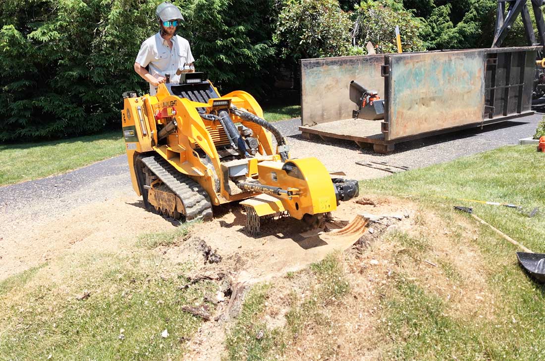 Dessoucheuse stationnaire Baumalight S16