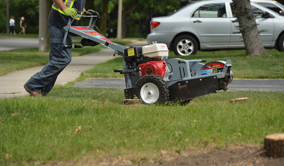 Souffleuse à souche push 13 HP Baumalight