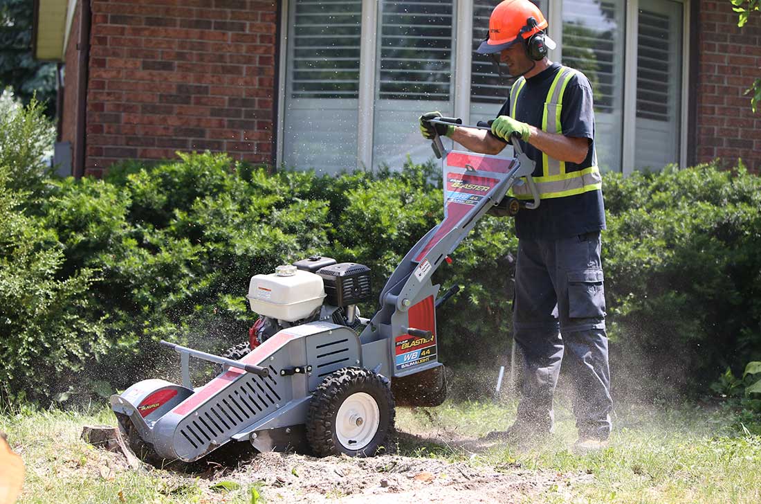 stump grinder