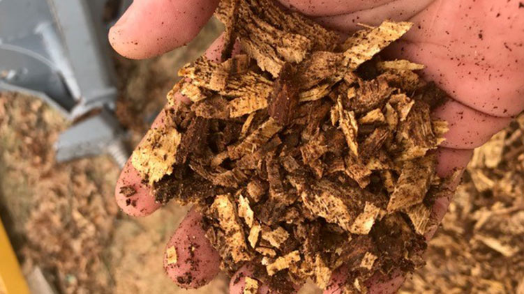 Stump planing chips