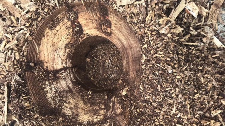 Stump removal with planer
