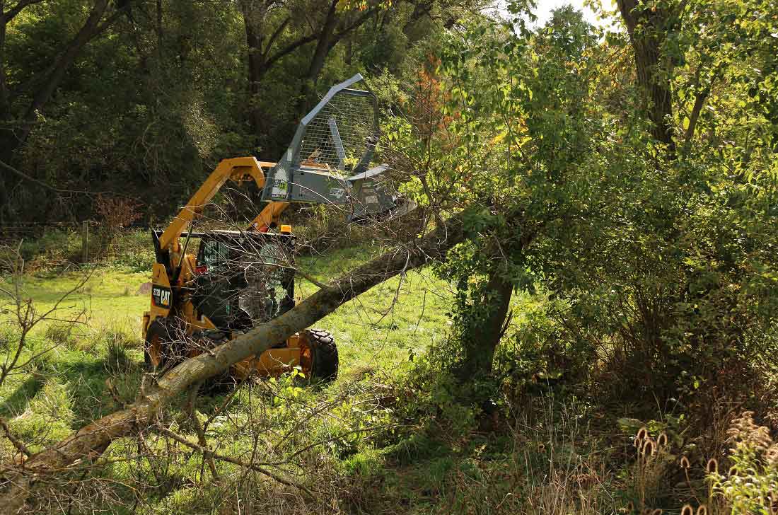 Scie à arbre rotative Baumalight atteignant le haut